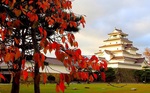 鶴ヶ城の紅葉